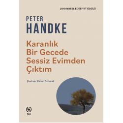 Karanlık Bir Gecede Sessiz Evimden Çıktım - Peter Handke