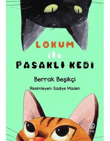 Lokum ile Pasaklı Kedi - Berrak Beşikçi